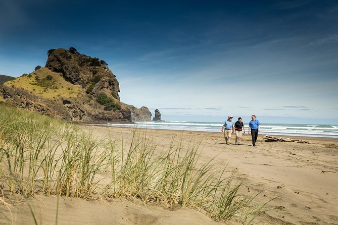 Explore Auckland: Self Guided Audio Tour - Auckland Art Gallery and Toi o Tamaki