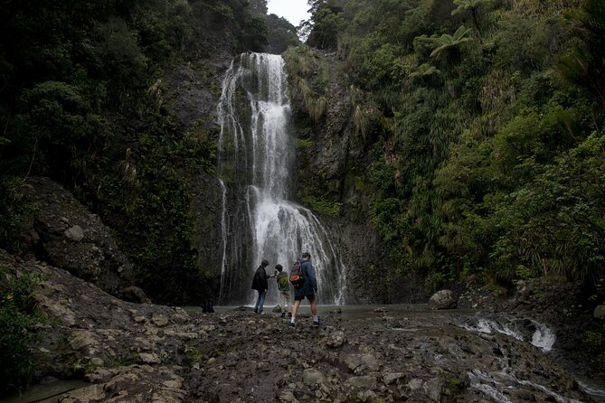 Explore BLACK SAND PIHA BEACH, and Water Falls in West Auckland - Kitekite Falls and the forest walk