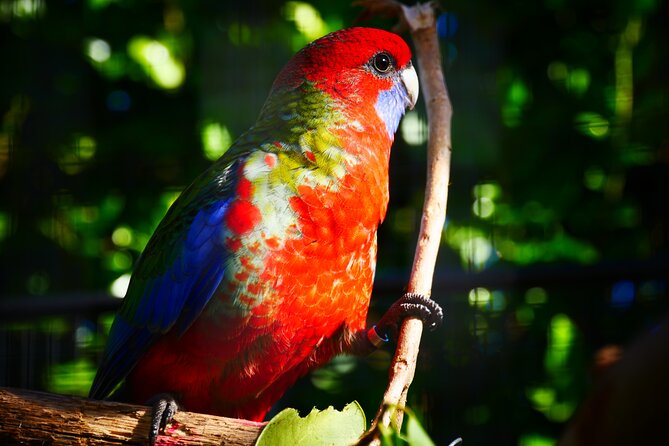 Explore gardens & galleries filled with incredible art, Matakana - Six galleries with a strong glass-art focus