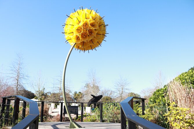Explore gardens & galleries filled with incredible art, Matakana - Who will get the most from this experience