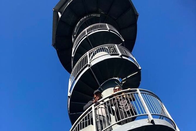Explore Hokitika Gorge and Tree Top Walkway - Is €105.49 good value?