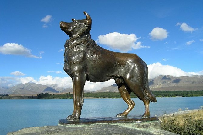 Explore Mount Cook from Christchurch - Guides, commentary, and the coach ride