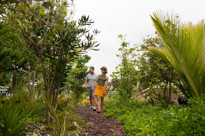 Explore the legacy of artist, ecologist, architect, visionary - The Afforested Roof is the payoff upstairs