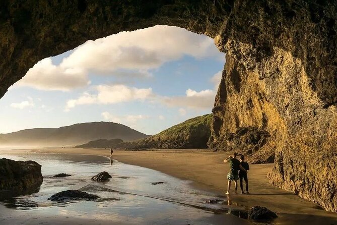 Explore West Auckland with Winery - Key points to know before booking