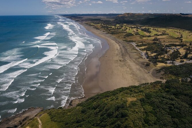 Explore West Auckland with Winery - Three West Auckland experiences in six hours