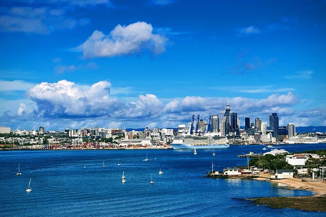 Explore West Auckland with Winery - The guide can shape the entire day