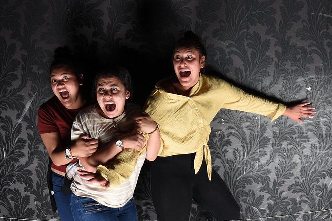 Fear Factory Queenstown - What happens during the 30-minute experience
