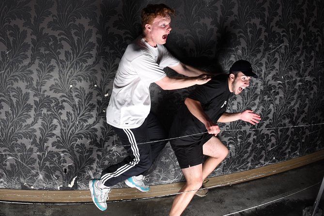 Fear Factory Queenstown - Going alone or with friends