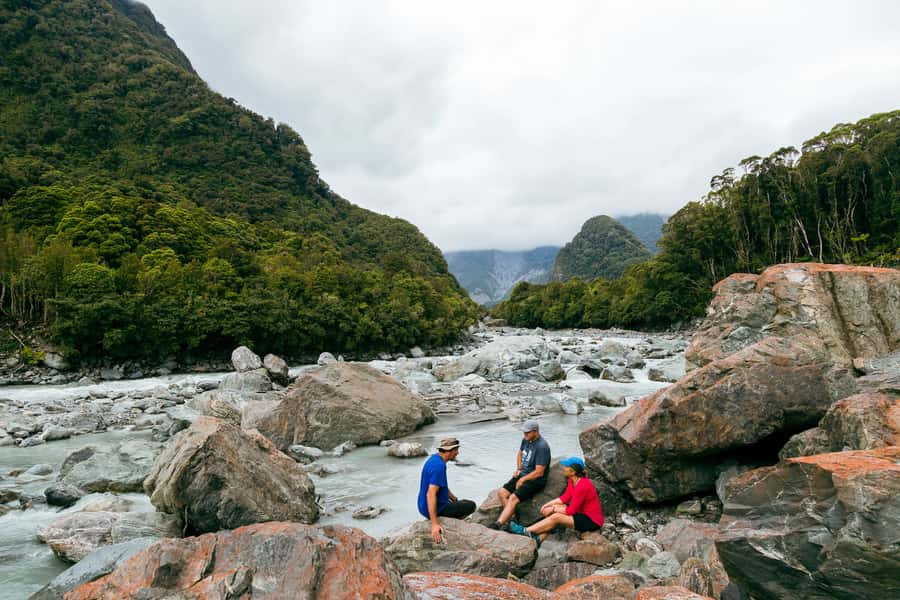 Fox Glacier: Half Day Walking & Nature Tour with Local Guide - Entering the old glaciated rainforest