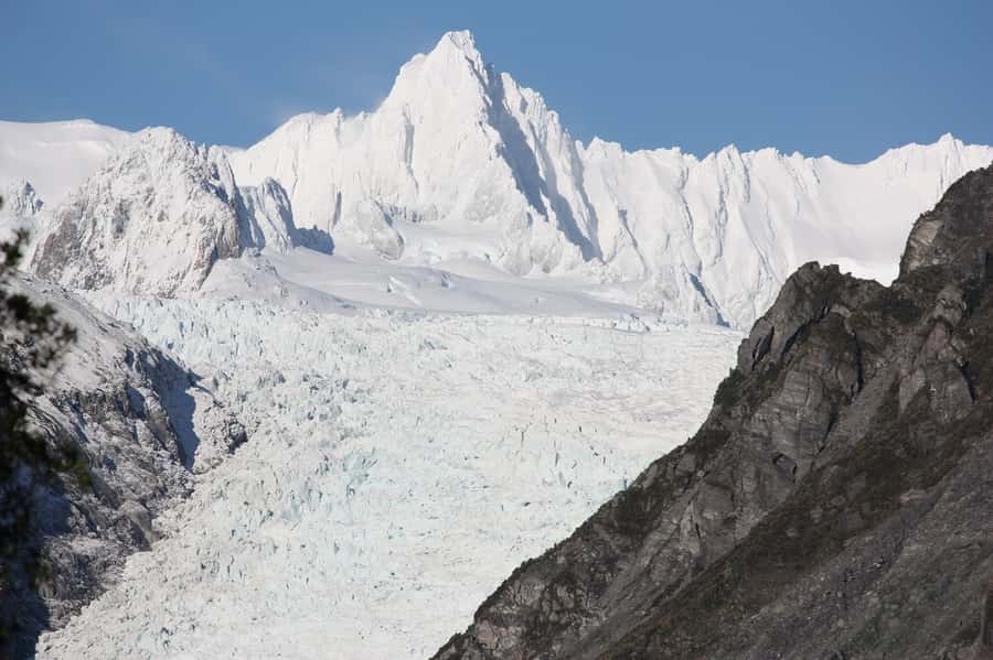 Fox Glacier: Half Day Walking & Nature Tour with Local Guide - From Franz Josef to Fox Glacier