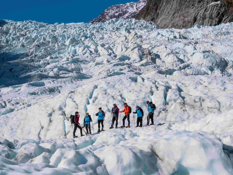 Fox Glacier: Up to 3 Hours Hike with Helicopter Transfer - Check-in at 44 Main Road