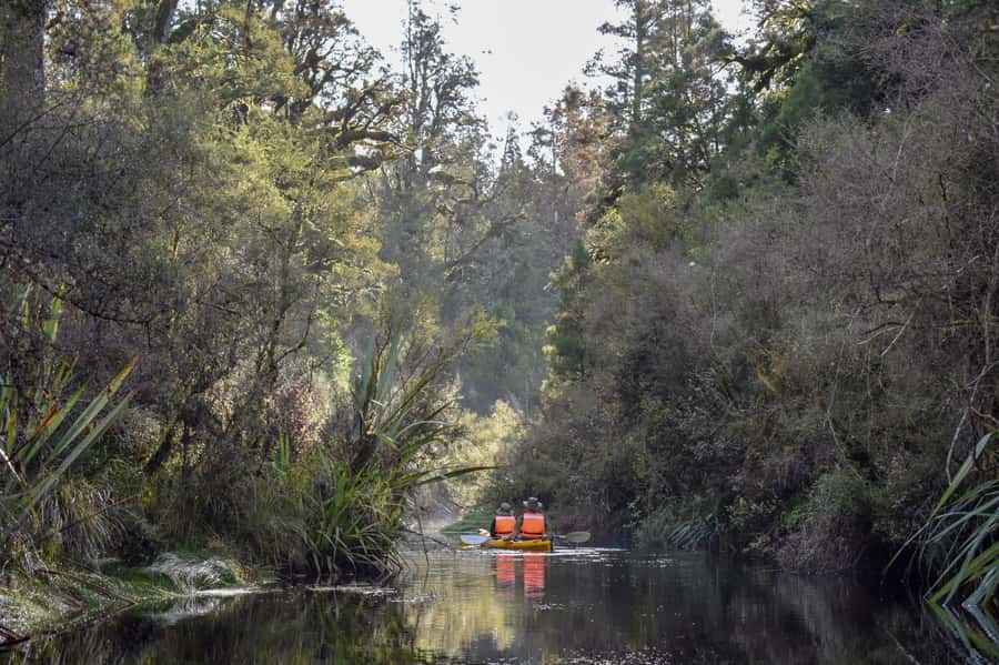 Franz Josef: 3-Hour Kayak Tour on Lake Mapourika - Useful booking and clothing advice