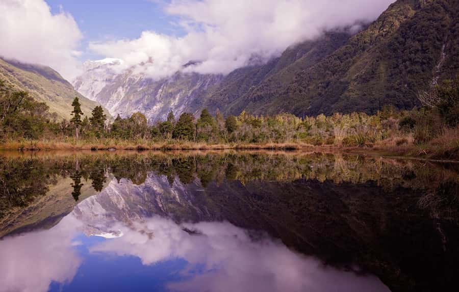 Franz Josef: Franz Josef Glacier Lookout Guided Walk - Walking through ancient podocarp rainforest