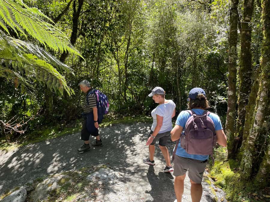 Franz Josef: Franz Josef Glacier Lookout Guided Walk - The kettle lake and the glacier viewpoint