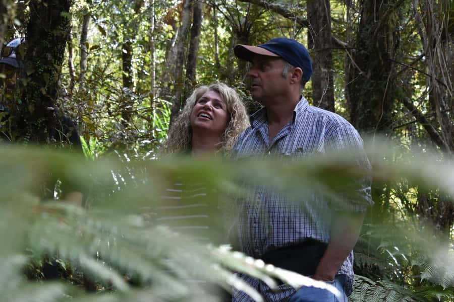 Franz Josef Glacier: 2.5-Hour Lake Mapourika Cruise and Walk - Cruising across Lake Mapourika