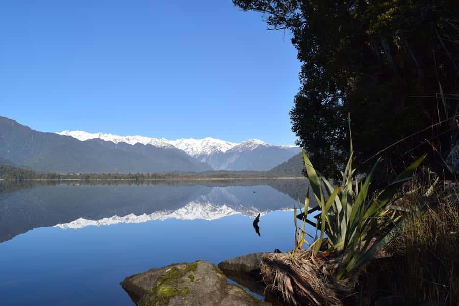 Franz Josef Glacier: 2.5-Hour Lake Mapourika Cruise and Walk - A short walk with plenty to notice