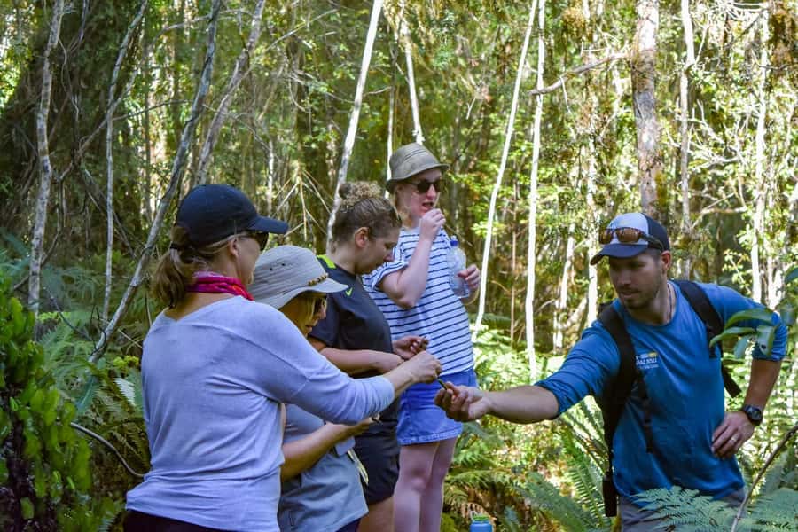 Franz Josef Glacier: 2.5-Hour Lake Mapourika Cruise and Walk - Meeting in Franz Josef and reaching the lake