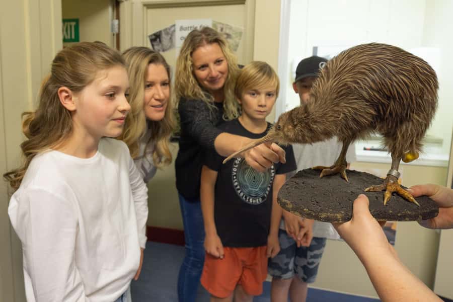 Franz Josef: Kiwi VIP Backstage Pass Tour -Booking Essential - Why the kiwi work matters in Franz Josef