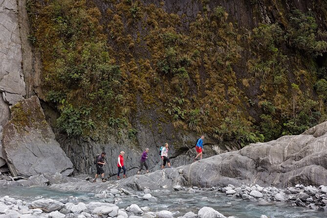 Franz Josef Nature Tour - Why this tour shows more than the glacier