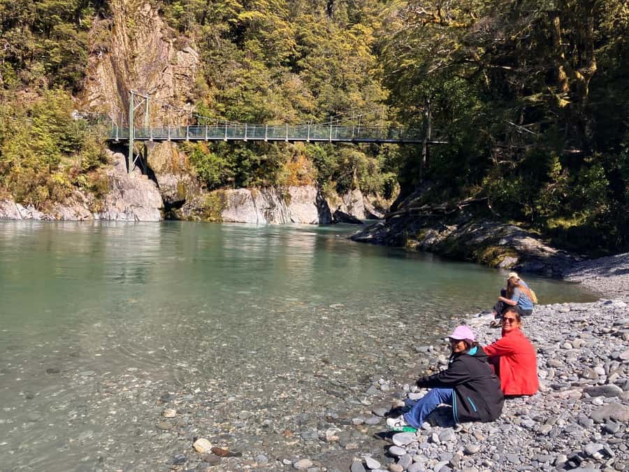 Franz Josef to Queenstown small group tour (One-Way) - Thunder Creek Falls and the Haast Pass route