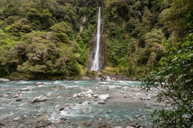 Franz Josef to Queenstown Small Group Tour via Wanaka 1 -Way - Wānaka and the famous tree