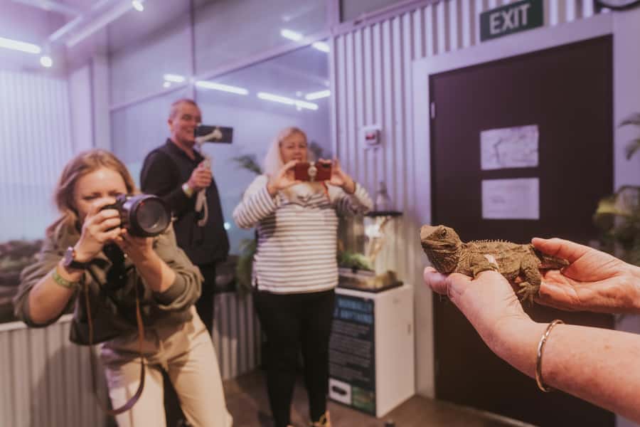 Franz Josef: West Coast Wildlife Centre Entry Ticket -48 hrs - Tuatara, New Zealand’s ancient survivor