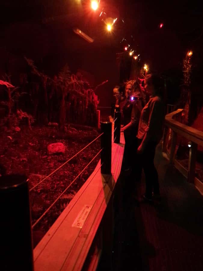 Franz Josef: West Coast Wildlife Centre Entry Ticket -48 hrs - Price, food, and practical planning