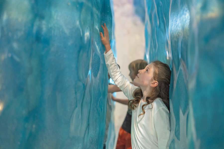 Franz Josef: West Coast Wildlife Centre Entry Ticket -48 hrs - Booking, cancellation, and the best time to go