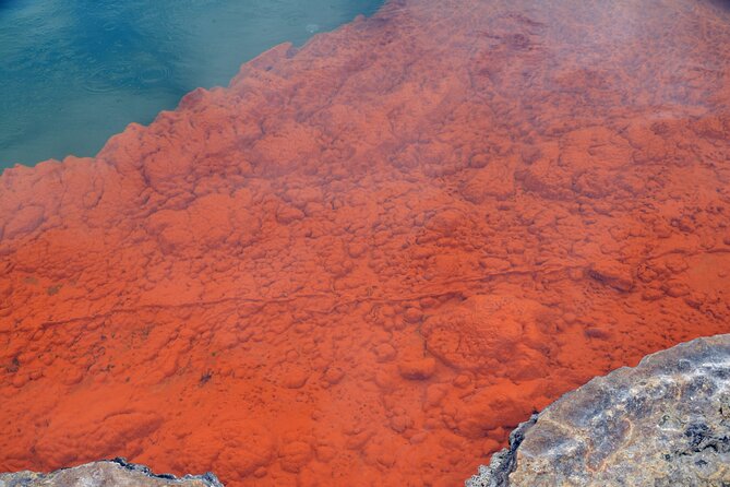 From Auckand: Waiotapu and Polynesian Spa Rotorua Day Tour - The 6:00 am departure from Auckland