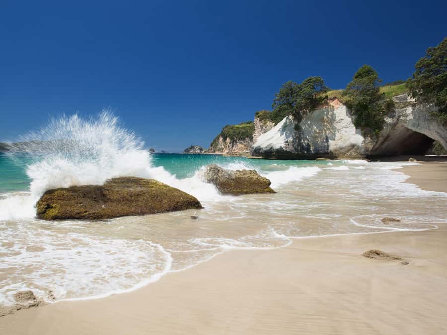 From Auckland: Cathedral Cove & Hot Water Beach Tour - Key points at a glance