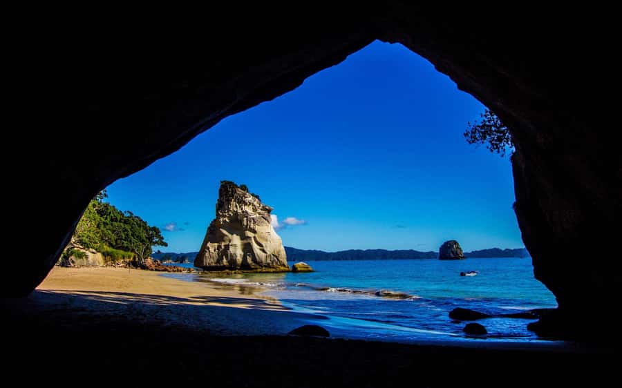 From Auckland: Cathedral Cove & Hot Water Beach Tour - Why this Coromandel day trip is worth your time