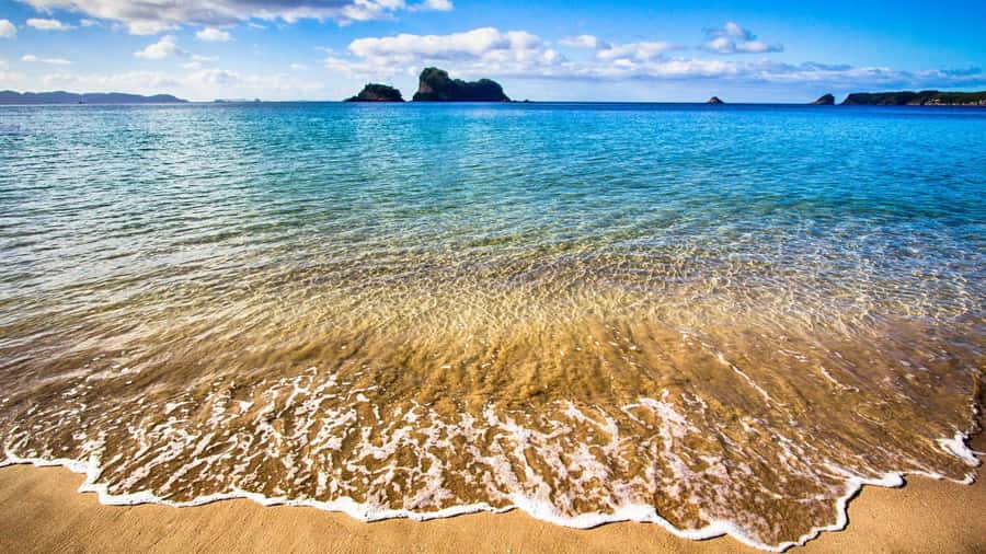 From Auckland: Cathedral Cove & Hot Water Beach Tour - Who should book this Auckland outing