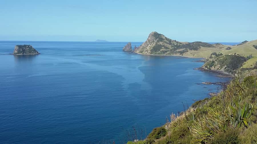 From Auckland: Cathedral Cove & Hot Water Beach Tour - Should you book this Coromandel tour?