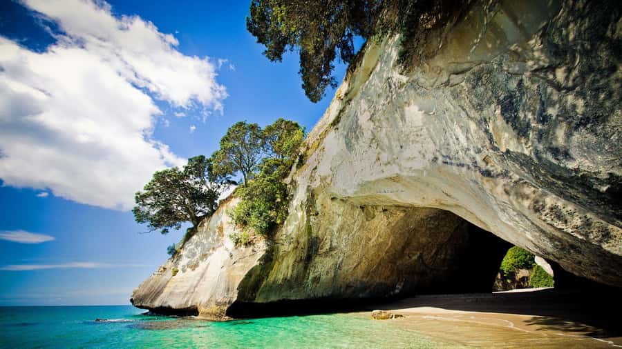 From Auckland: Cathedral Cove & Hot Water Beach Tour - A small van and a long road from Auckland