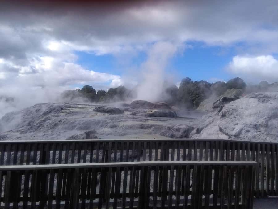 From Auckland: Day Trip to Rotorua with Optional extras - A Small Minibus Instead of a Packed Coach