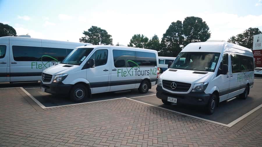 From Auckland: Day Trip to Rotorua with Optional extras - Te Puia: The Main Rotorua Experience