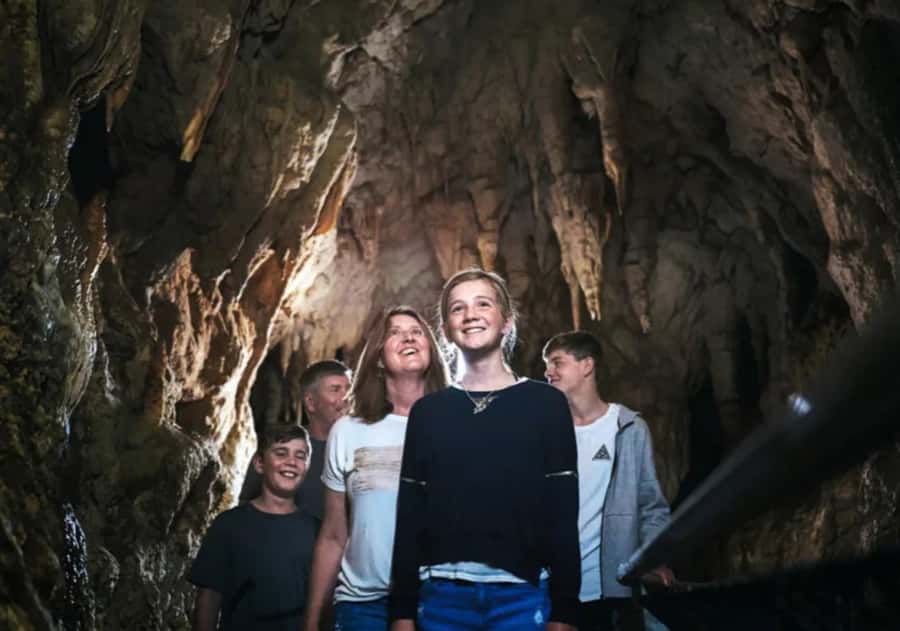From Auckland: Day Trip to Waitomo Glow Worm Caves - Should You Book The Waitomo Tour?