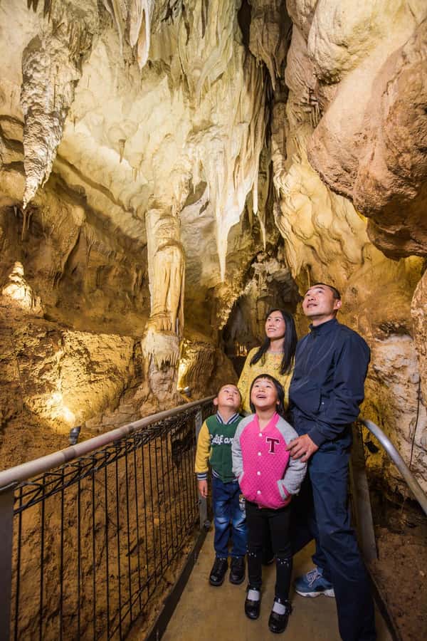 From Auckland: Day Trip to Waitomo Glow Worm Caves - The Quiet Boat Beneath the Glowworms