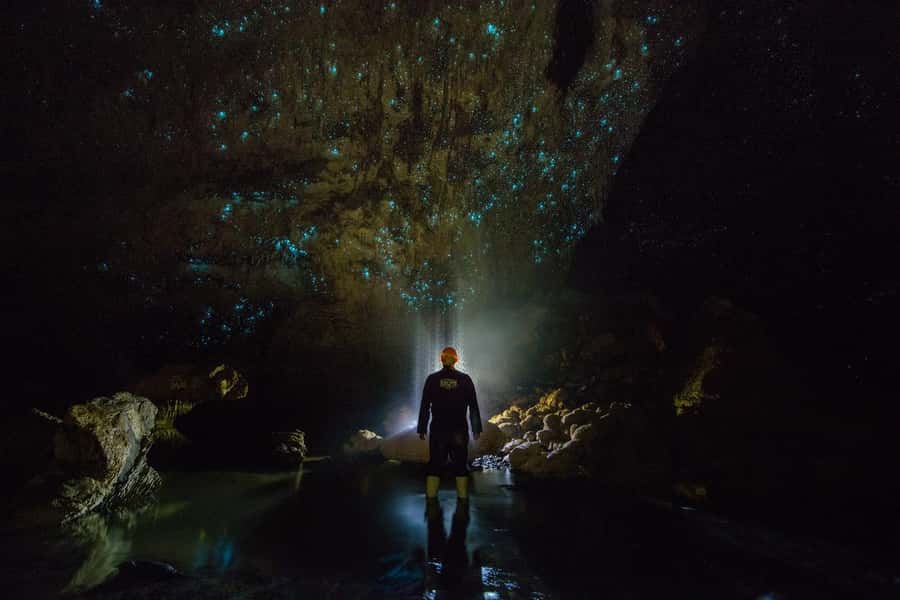 From Auckland: Day Trip to Waitomo Glow Worm Caves - Who Will Like This Day Trip