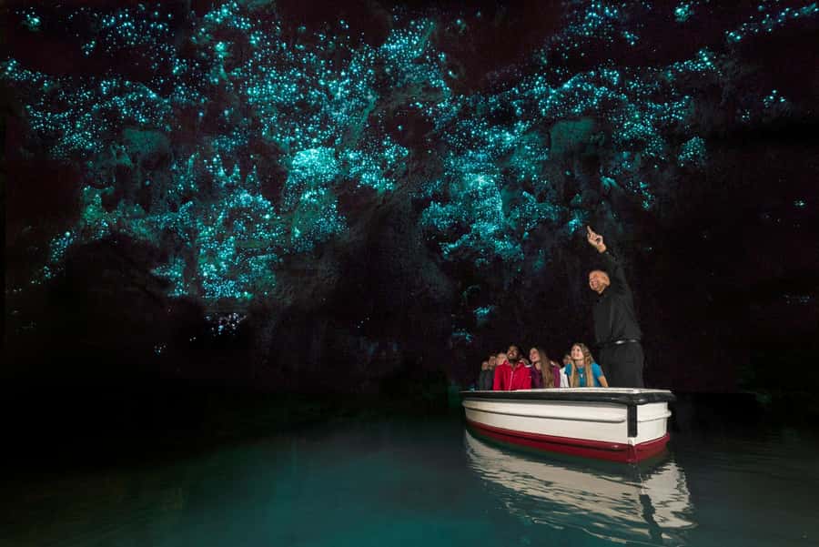 From Auckland: Day Trip to Waitomo Glow Worm Caves - A Short Break at Waitomo Homestead