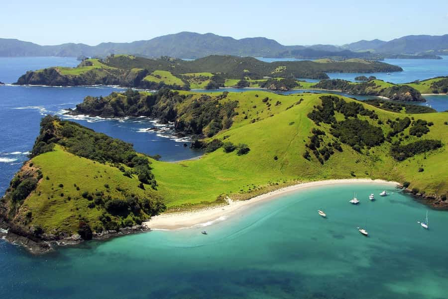 From Auckland: Full Day Private Tour to the Bay of Islands - Leaving Auckland for Northland