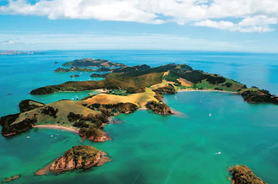 From Auckland: Full Day Private Tour to the Bay of Islands - What the private format adds