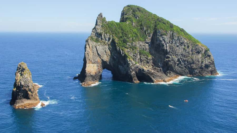 From Auckland: Full Day Private Tour to the Bay of Islands - The return to Auckland