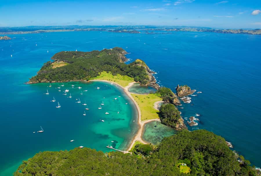 From Auckland: Full-Day Tour to the Bay of Islands - Leaving Auckland for Paihia