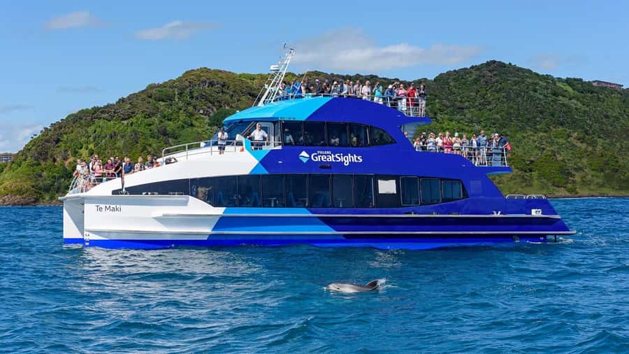 From Auckland: Full-Day Tour to the Bay of Islands - What the Guides Add