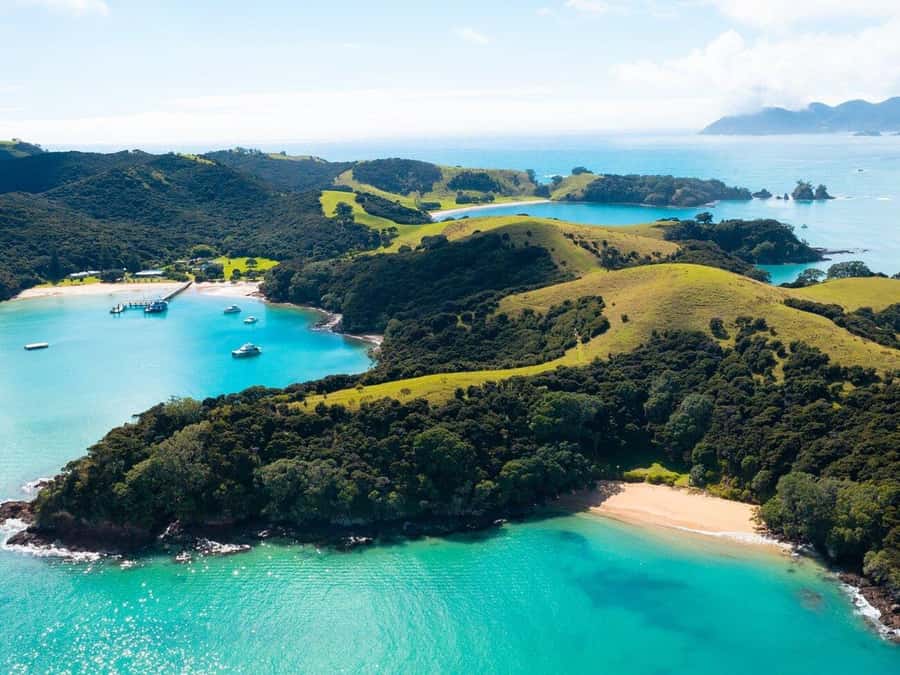 From Auckland: Full-Day Tour to the Bay of Islands - Is $274 Good Value?