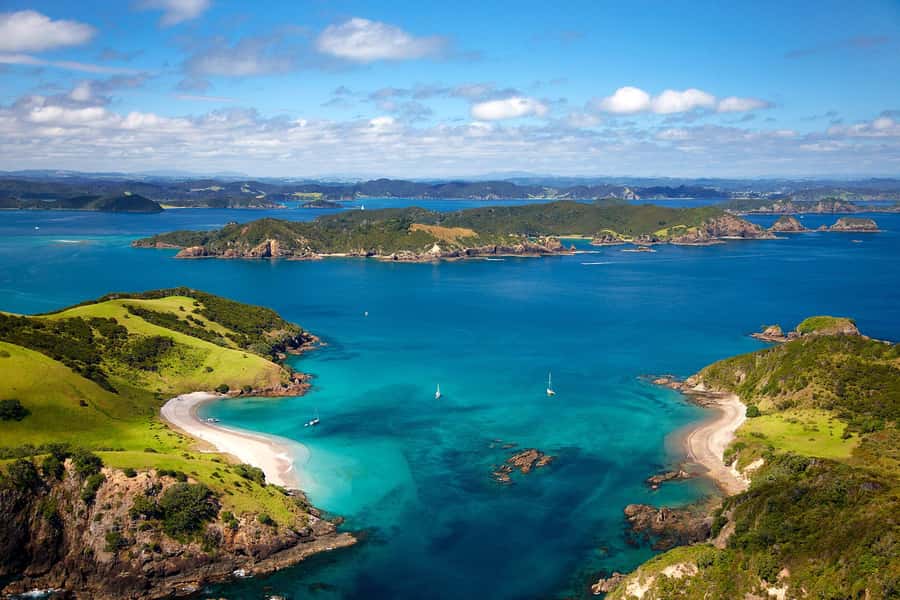 From Auckland: Full-Day Tour to the Bay of Islands - Paihia and the 4.5-Hour Catamaran Cruise