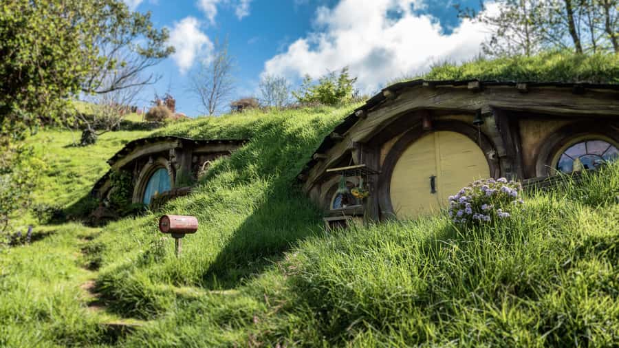 From Auckland: Hobbiton Afternoon Tour - Key points to know before booking