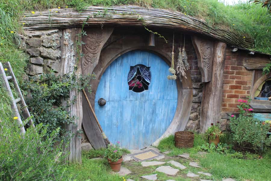 From Auckland: Hobbiton Afternoon Tour - Walking among the hobbit holes