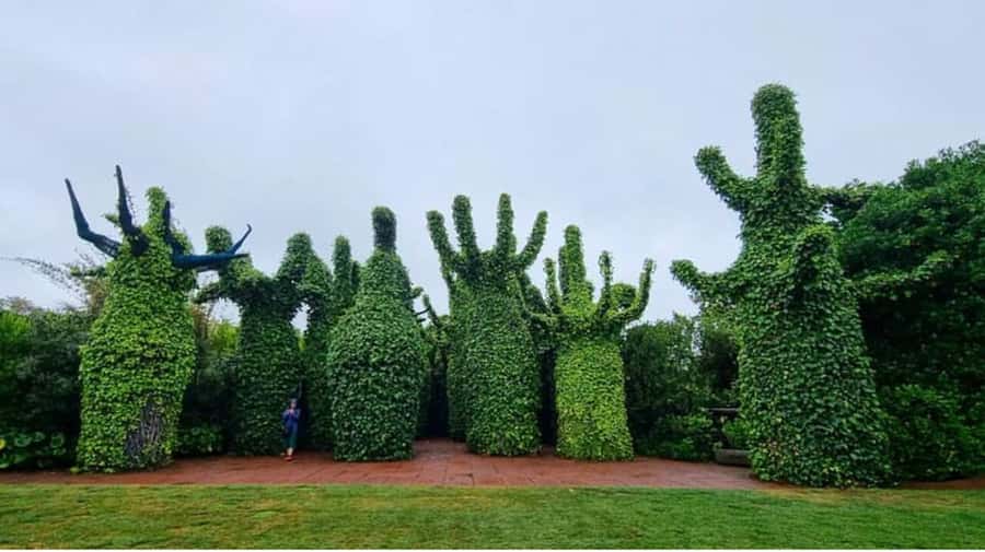 From Auckland: Hobbiton & Hamilton Gardens Small Group Tour - The road from Hamilton to Hobbiton